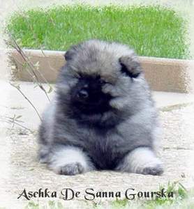 Aschka De sanna gourska