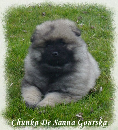Chunka De sanna gourska