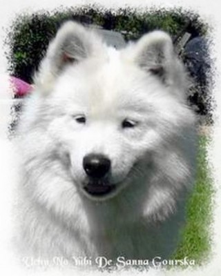 Uchu no yubi De sanna gourska