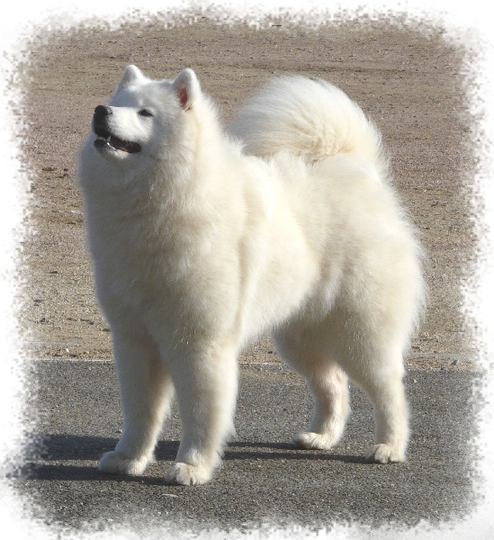 Ewina ekaja De sanna gourska