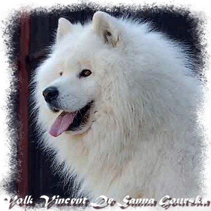 Volk vincent De sanna gourska