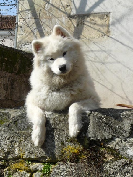 Epic jewel De sanna gourska