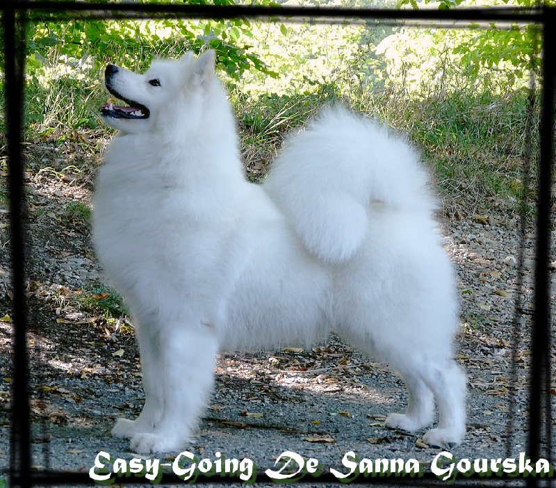 Easy-going De sanna gourska