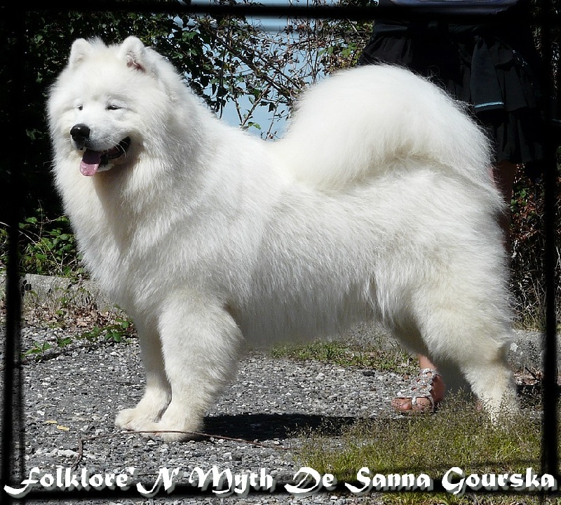 CH. Folklore'n myth De sanna gourska