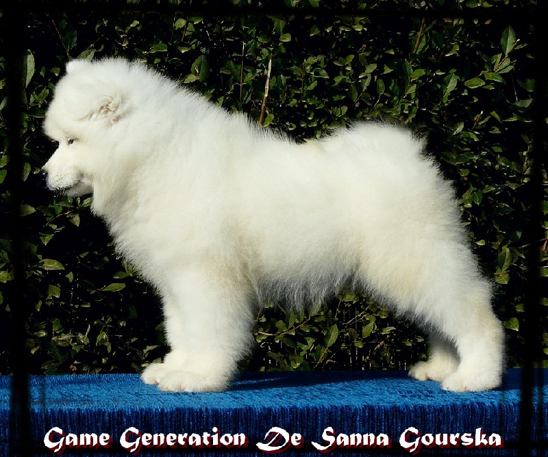 Game generation De sanna gourska