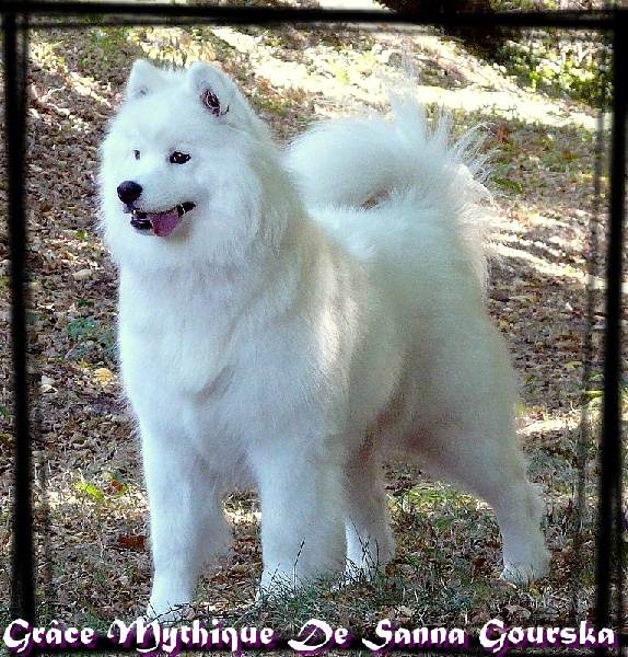 Grâce mythique De sanna gourska