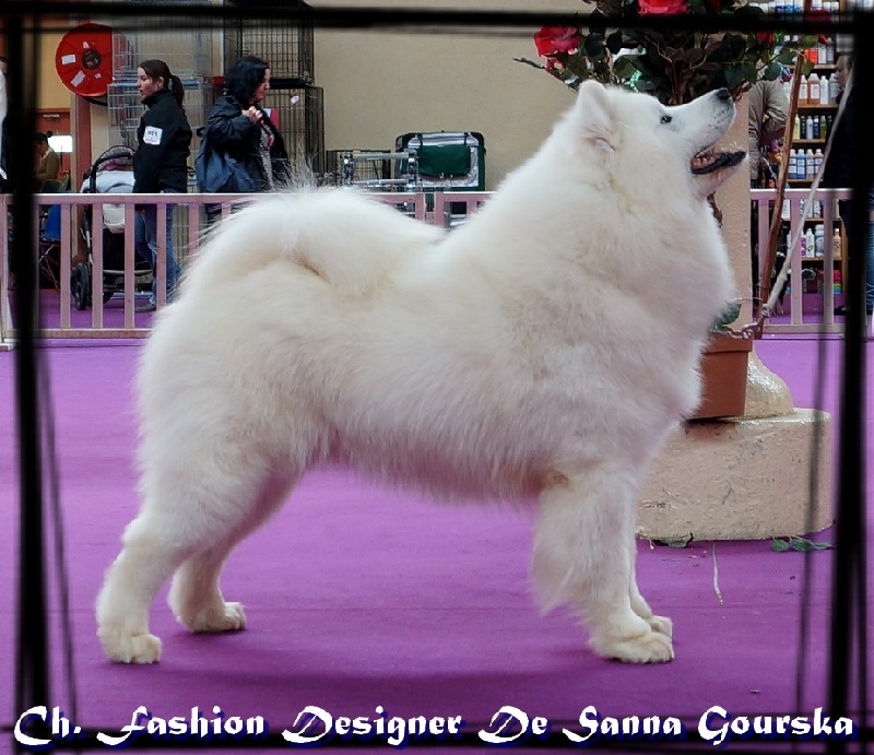 CH. Fashion designer De sanna gourska