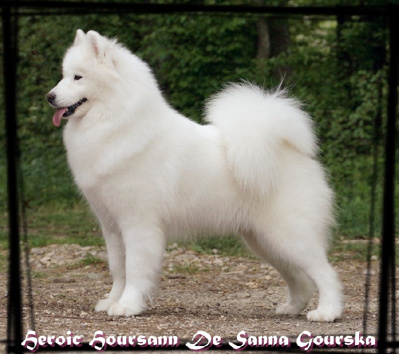 Heroic hoursann De sanna gourska