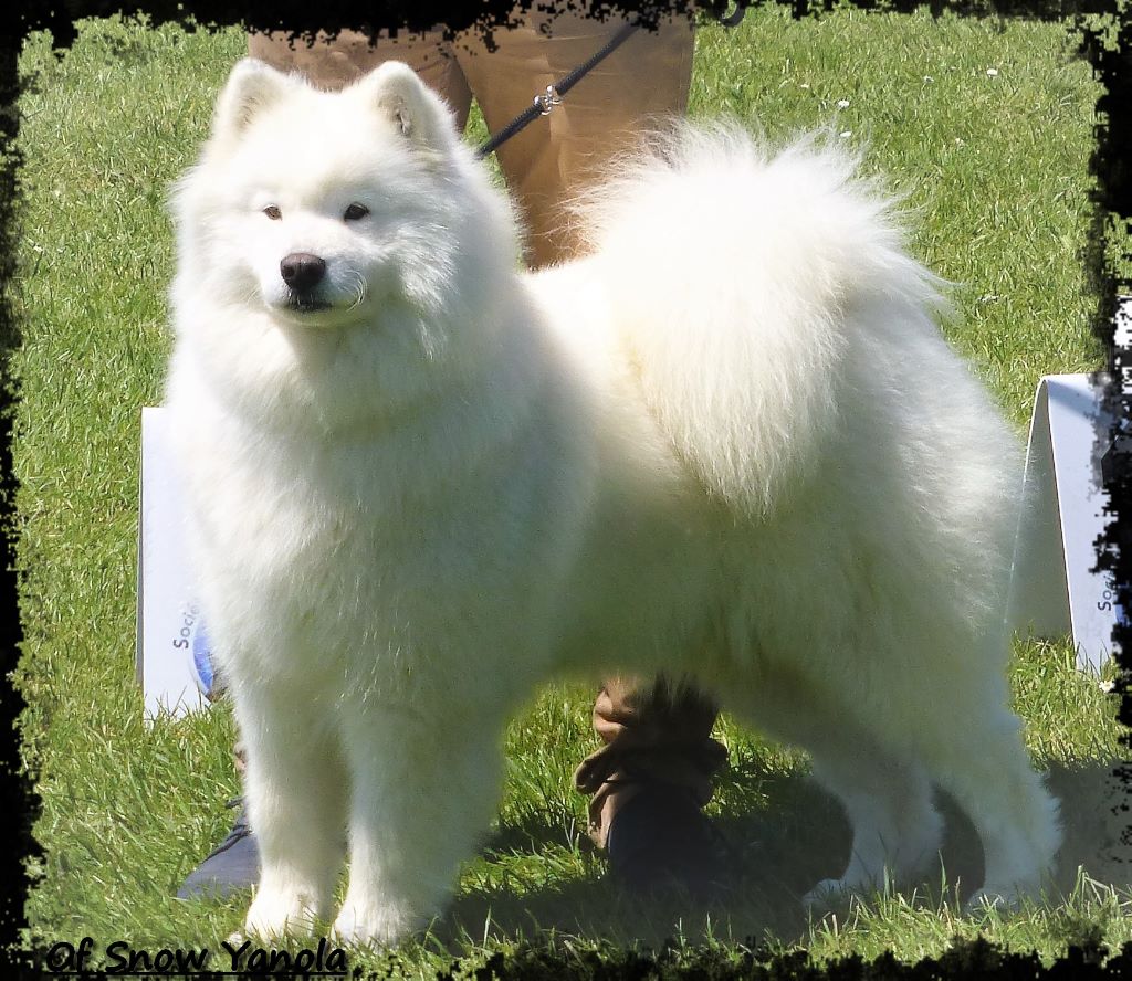 Incredible iouna De sanna gourska